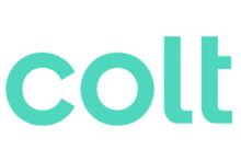 The word "colt" in lowercase, bold, light teal letters on a white background.